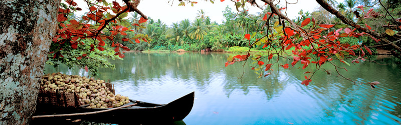 Südindien Backwaters