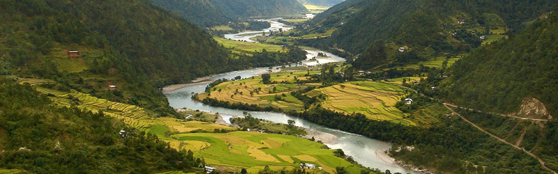 Bhutan Reisfelder