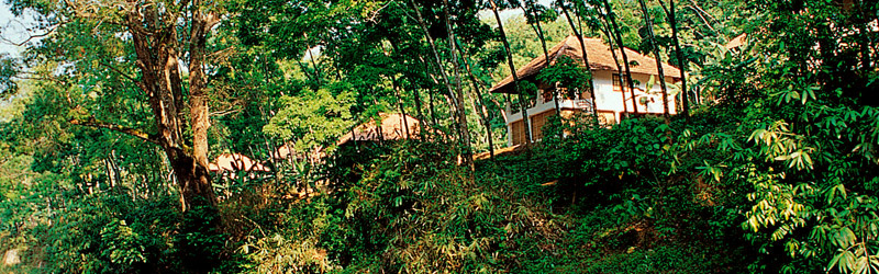 Dukes Forest Lodge Ayurveda
