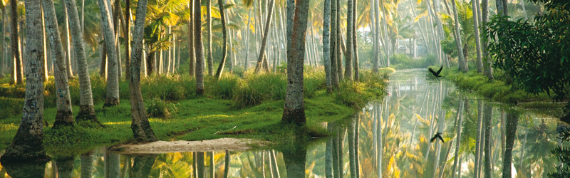 Isola di Cocco Ayurveda Kerala