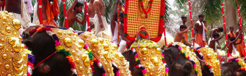 Thrissur Elefantenfest