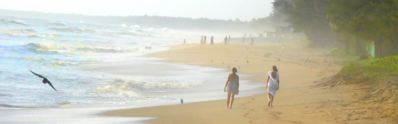 Nattika Beach Resort Strand