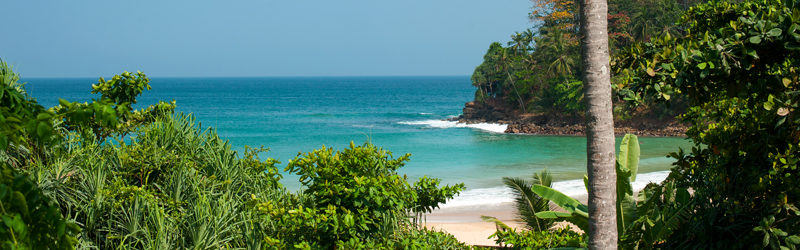 Surya Lanka Ayurveda Beach Resort Beach