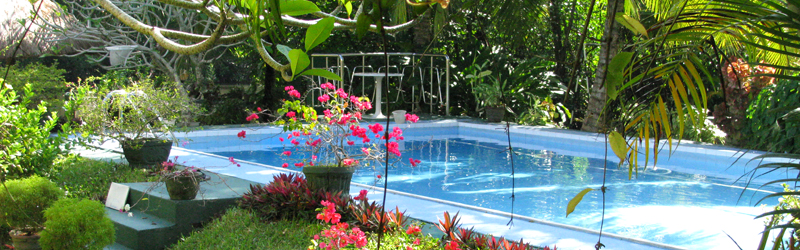Muthumuni River Resort Pool