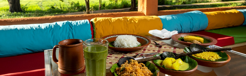 Ayurveda Sigirya Gerichte by GECCO TOURS