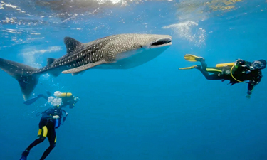 Anantara Freizeit tauchen