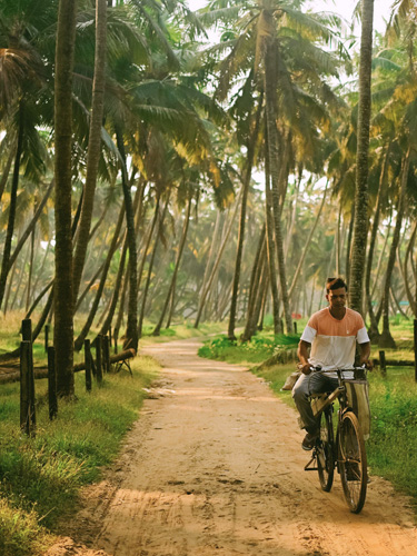 Nattika Beach Resort Preise